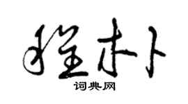 曾庆福程朴草书个性签名怎么写