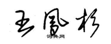 朱锡荣王凤杉草书个性签名怎么写