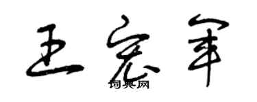 曾庆福王宏军草书个性签名怎么写