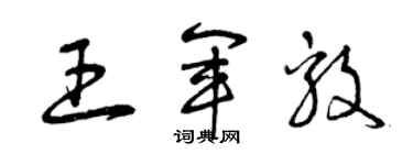 曾庆福王军毅草书个性签名怎么写