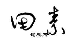 曾庆福田素草书个性签名怎么写