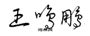 曾庆福王鸣鹏草书个性签名怎么写