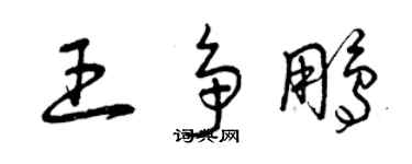 曾庆福王争鹏草书个性签名怎么写