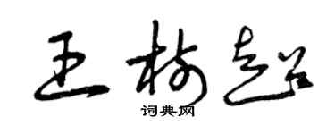 曾庆福王树超草书个性签名怎么写