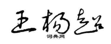 曾庆福王杨超草书个性签名怎么写