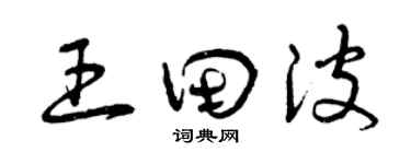 曾庆福王田波草书个性签名怎么写