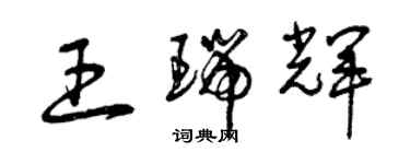曾庆福王瑞辉草书个性签名怎么写