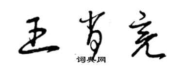 曾庆福王肖亮草书个性签名怎么写