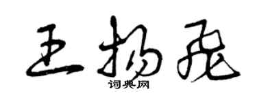曾庆福王扬飞草书个性签名怎么写