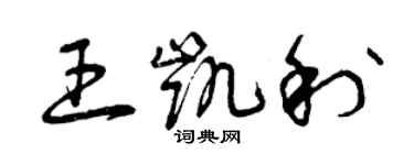 曾庆福王凯利草书个性签名怎么写