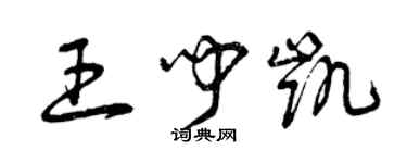 曾庆福王闻凯草书个性签名怎么写