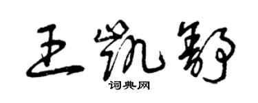 曾庆福王凯舒草书个性签名怎么写