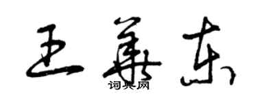 曾庆福王华东草书个性签名怎么写