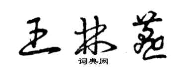 曾庆福王林燕草书个性签名怎么写