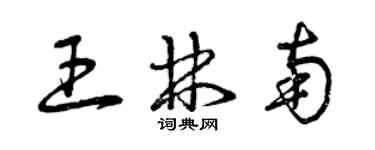 曾庆福王林南草书个性签名怎么写