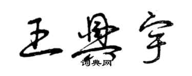 曾庆福王兴宇草书个性签名怎么写