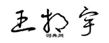 曾庆福王相宇草书个性签名怎么写