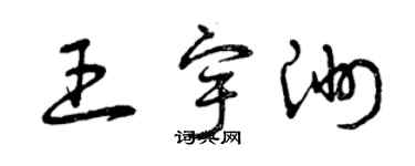 曾庆福王宇洲草书个性签名怎么写