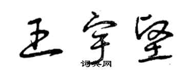 曾庆福王宇坚草书个性签名怎么写