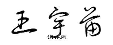曾庆福王宇苗草书个性签名怎么写