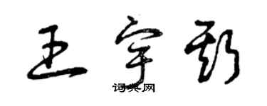曾庆福王宇斯草书个性签名怎么写