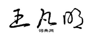 曾庆福王凡明草书个性签名怎么写