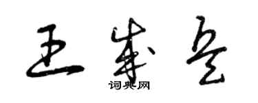 曾庆福王成兵草书个性签名怎么写