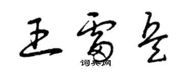 曾庆福王雷兵草书个性签名怎么写