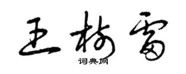 曾庆福王树雷草书个性签名怎么写