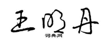 曾庆福王明丹草书个性签名怎么写