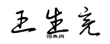 曾庆福王生亮草书个性签名怎么写
