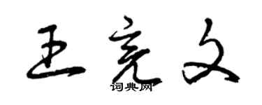 曾庆福王亮文草书个性签名怎么写
