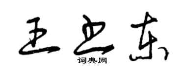 曾庆福王书东草书个性签名怎么写
