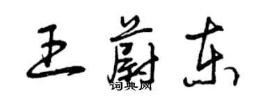 曾庆福王蔚东草书个性签名怎么写