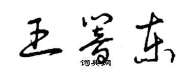 曾庆福王响东草书个性签名怎么写