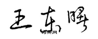 曾庆福王东曙草书个性签名怎么写