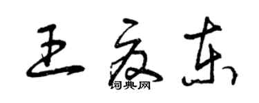 曾庆福王夏东草书个性签名怎么写