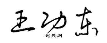 曾庆福王功东草书个性签名怎么写