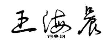曾庆福王海晨草书个性签名怎么写