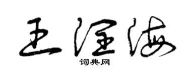 曾庆福王润海草书个性签名怎么写