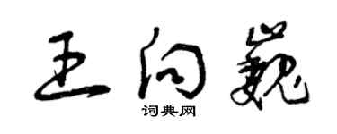 曾庆福王向巍草书个性签名怎么写