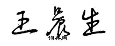 曾庆福王晨生草书个性签名怎么写