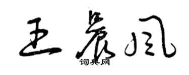 曾庆福王晨风草书个性签名怎么写