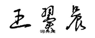曾庆福王翼晨草书个性签名怎么写