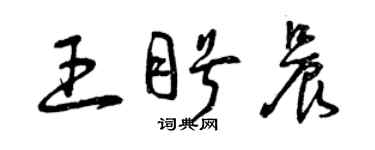 曾庆福王盼晨草书个性签名怎么写