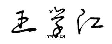 曾庆福王学江草书个性签名怎么写