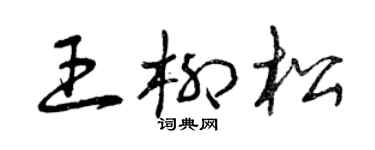 曾庆福王柳松草书个性签名怎么写