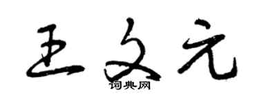 曾庆福王文元草书个性签名怎么写
