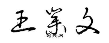 曾庆福王业文草书个性签名怎么写