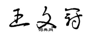 曾庆福王文冠草书个性签名怎么写